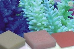 Korallen-Zucht Automatic Elements Amino Acid Concentrate 10 szt