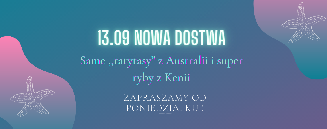 Nowosc-12-